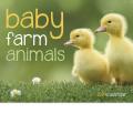 Baby Farm Animals - Stapled